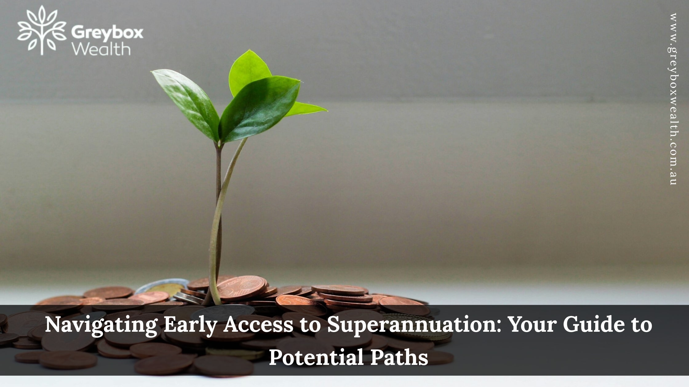 Navigating Early Access to Superannuation